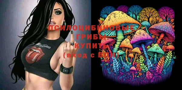 прущие грибы Аркадак