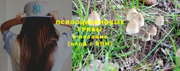 круглые Надым