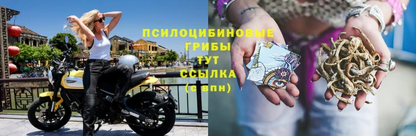 прущая мука Армянск