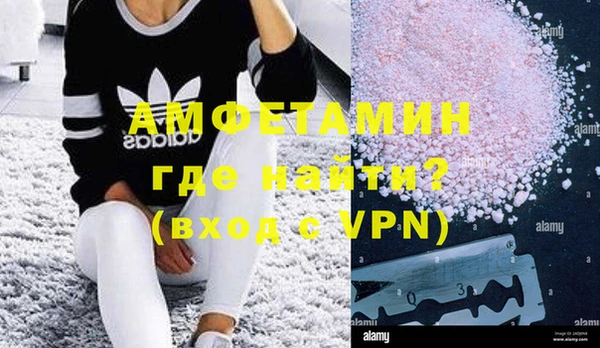 прущие грибы Аркадак