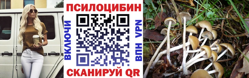 Псилоцибиновые грибы Psilocybe Лагань
